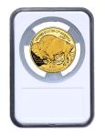 Elite Coin Holder for 10 American Gold Eagles
