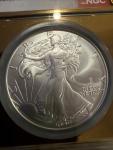 2025 American Silver Eagle NGC MS70 Gold Label