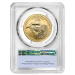 2025 $50 American Gold Eagle 1 oz Coin