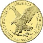 24K Gold Gilded U.S. Eagle Mosaic Coin 2025