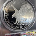 2025-W American Silver Eagle Army Privy Coin