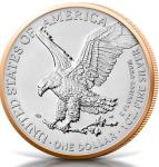 2025 American Silver Eagle Red Gold Coin 1 oz