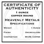 1907 Indian $10 Gold Eagle Copper Coin Round