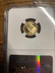 2025 American Gold Eagle G$5 MS70 Coin