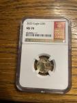 2025 American Gold Eagle G$5 MS70 Coin