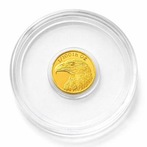 24k Gold American Eagle Flag Coin .9999 Fine