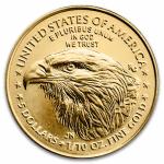 2025 1/10 oz American Gold Eagle Coin with Card