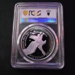 2025-W Silver Eagle US Army 250th PR69DCAM