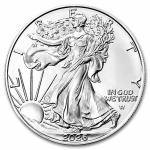 2024 American Silver Eagle 1 oz Coin with Certificate