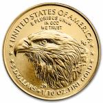 2025 1/10 oz American Gold Eagle Coin with Card