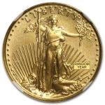 1/10 oz American Gold Eagle Coin - MS-69