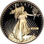 American Gold Eagle Proof Coin - 1 oz
