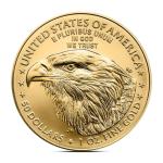 2025 1 oz American Gold Eagle Coin
