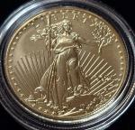2025 Burnished Gold 1 Ounce Eagle Coin