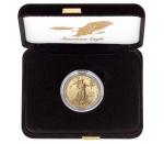 2026 W American Eagle 1/4 oz Gold Coin