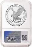 2026 P Silver Eagle Proof Coin Set NGC PF 70