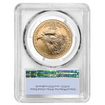 2026 $50 American Gold Eagle 1 oz Coin