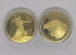 American Lady Liberty 2024 Gold Plated Coin