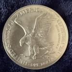 2024 1 oz American Silver Eagle Coin 49ers