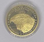 American Lady Liberty 2024 Gold Plated Coin