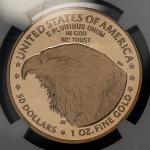2024-W G$50 Gold American Eagle Proof Coin