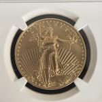 2024-W Burnished Gold Eagle Coin NGC MS70