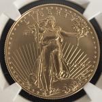 2024-W Burnished Gold Eagle Coin NGC MS70