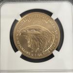 2024-W Burnished Gold Eagle Coin NGC MS70