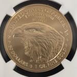 2024-W Burnished Gold Eagle Coin NGC MS70