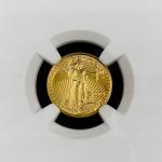 2024 $5 American Gold Eagle MS70 First Day