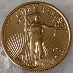 2024 1/10 oz American Gold Eagle Coin