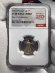 2025 Gold $10 Eagle Coin with Fry Collection Label