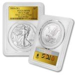 2024 1 oz American Silver Eagle Coin MS-70