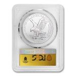 2024 1 oz American Silver Eagle Coin MS-70