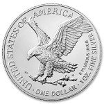 Lot of 20 Silver American Eagle Coins 1 oz