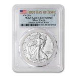2024 1 oz American Silver Eagle Coin - Flag Label