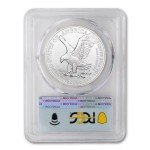 2024 1 oz American Silver Eagle Coin - Flag Label