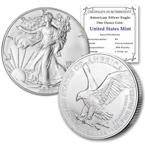 2024 1 oz American Silver Eagle Coin