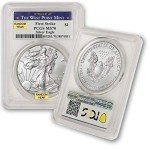 Silver American Eagle Coin - MS-70 First Strike