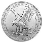 5 x 1 oz American Silver Eagle Coins Bundle