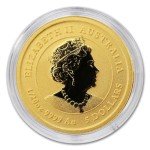 2022 1/20 oz Gold Australian Lunar Tiger Coin