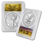 2023 1 oz American Silver Eagle Coin MS-70