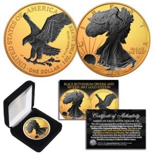 2024 1 oz Silver American Eagle Coin - Ruthenium
