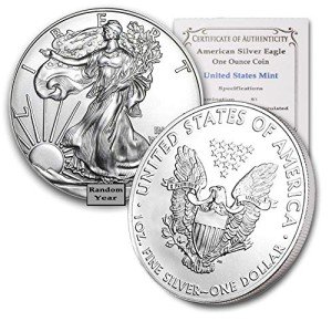 1 oz American Silver Eagle Coin with COA