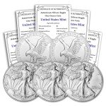 2024 Lot of 5 American Gold Eagle Coins