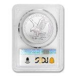 2024 1 oz American Silver Eagle Coin MS70