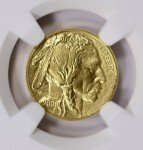 2008 W 1/10 Oz Gold American Buffalo Coin