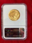 2008-W 1/2 oz. Gold Buffalo Coin MS70