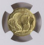 2008 W 1/10 Oz Gold American Buffalo Coin