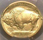 2008 W $10 Gold Buffalo Coin 1/4 oz